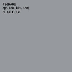 #969A9E - Star Dust Color Image